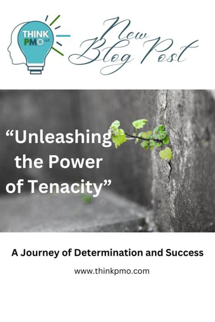 A Journey Of Determination And Success