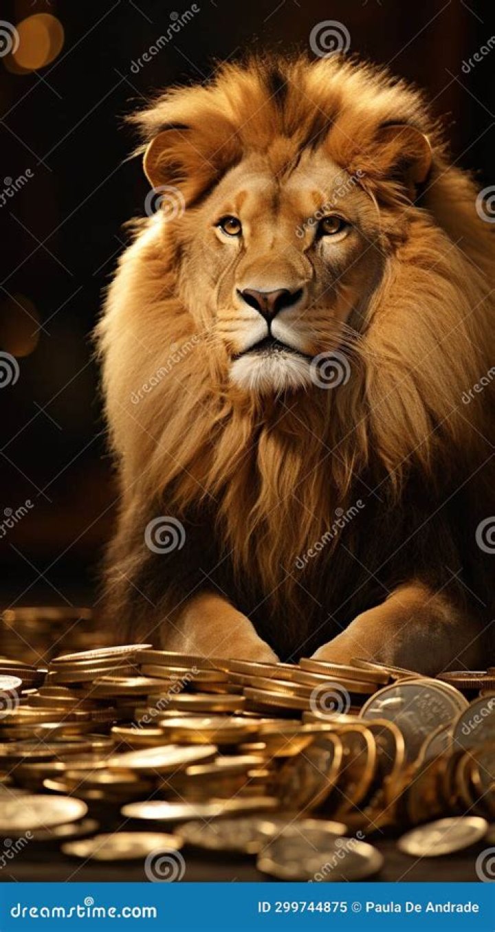 A Journey Of Wealth And Financial Prowess