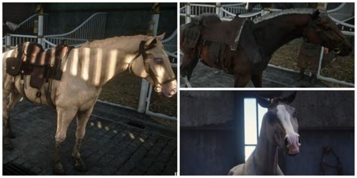 A Story Of Tragedy, Redemption, And Hope