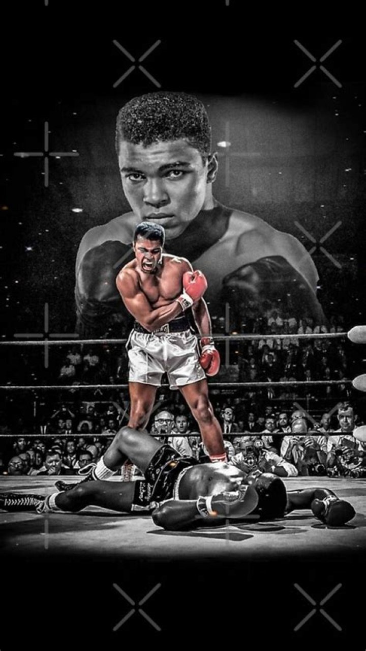 Age, Experience, And Boxing Career