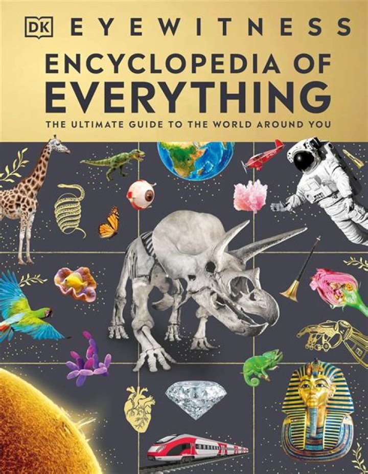 Dive Into The Fascinating Journey Of Lidia Curanaj