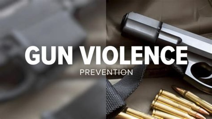 Insights To Reduce Gun Violence