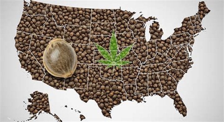 Marijuana Seeds Legal Missouri