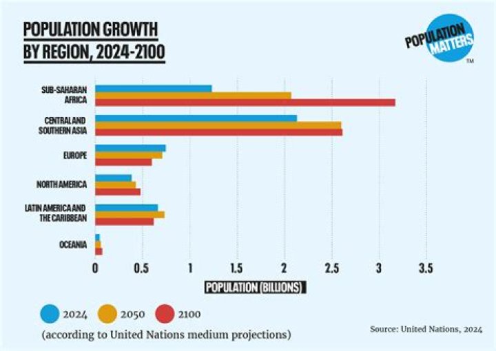 Projections And Insights For 2024