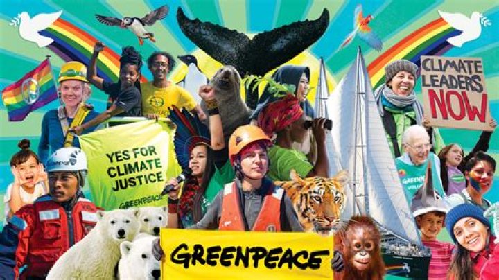 Uncovering Leadership, Public Service, And Environmental Advocacy