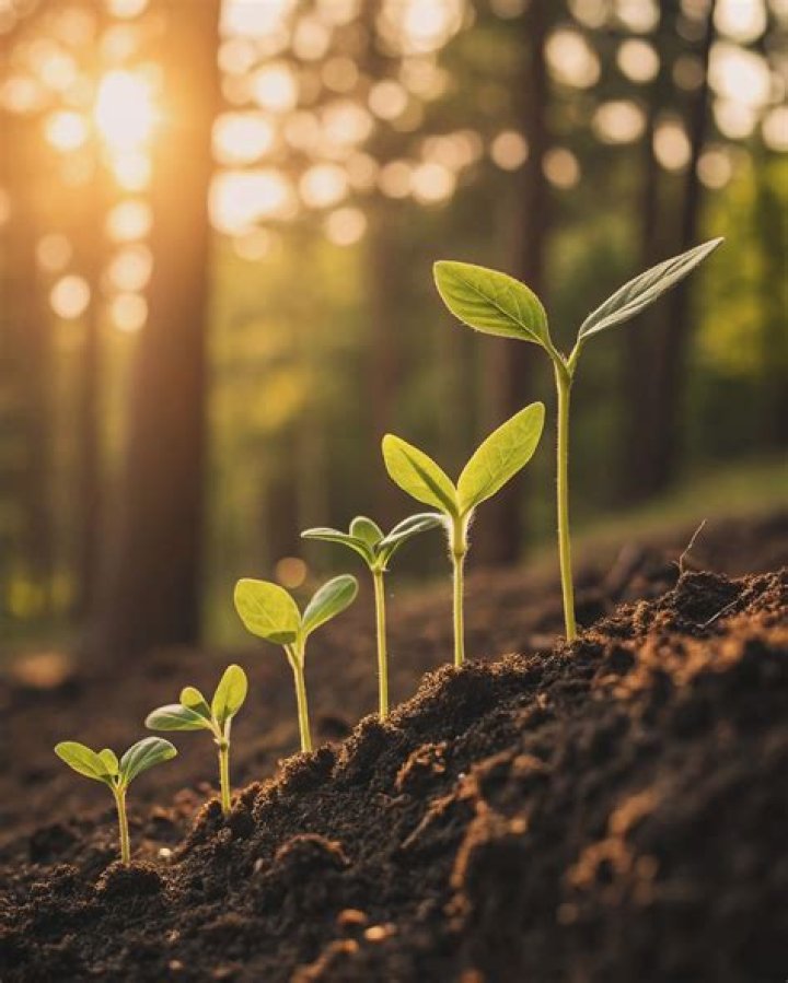 Unlocking Nature, Growth, And Inspiration