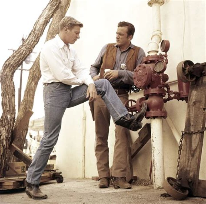 Unveiling The Financial Legacy Of James Arness