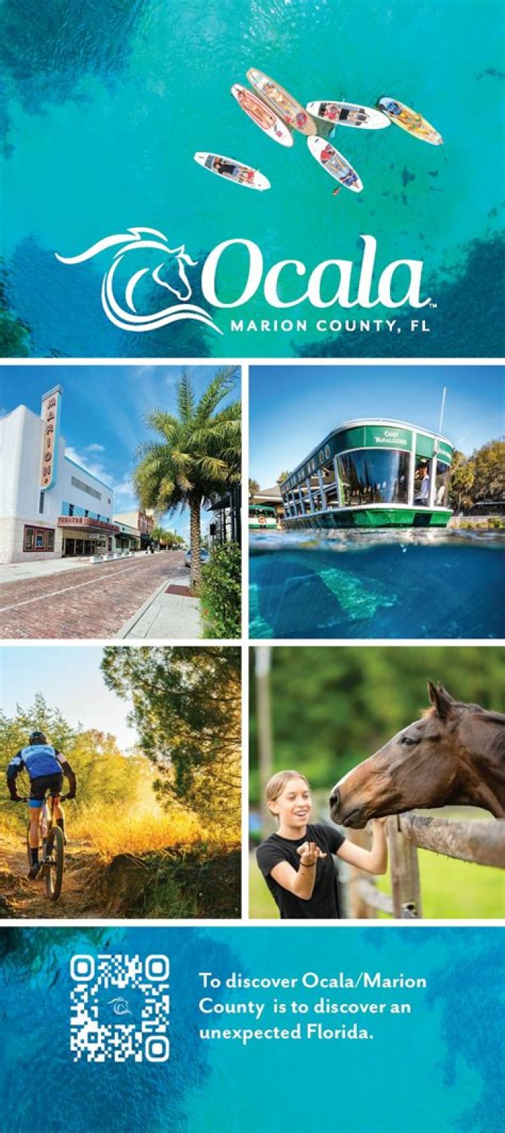 Unveiling The "Skip The Games" Strategy In Ocala, Florida: Discoveries And Insights Await