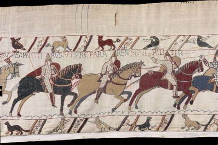 Unveiling The Tapestry Of Michelle Wolf's Heritage